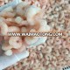 IQF HLSO/HOSO Frozen Penaeus Vannamei Shrimp